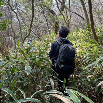 藪漕ぎ〜
猪年の突進力なめんな〜🐗💨🐗💨