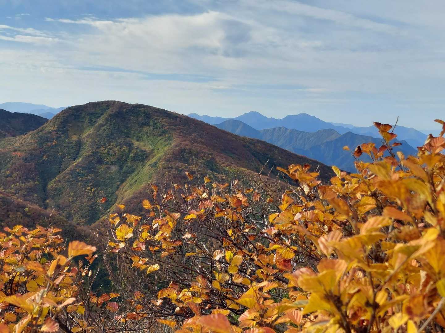 越後駒ヶ岳が見えたー！
いつ登れるのー😂