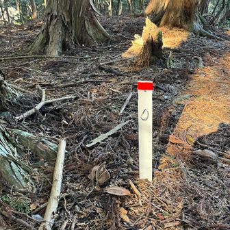 0地点
さあ、帰ろ〜