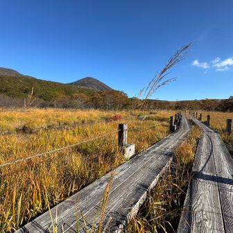 無事下山し沼ッ原湿原を散策
小規模ながら木道と草紅葉がいい感じ👍
