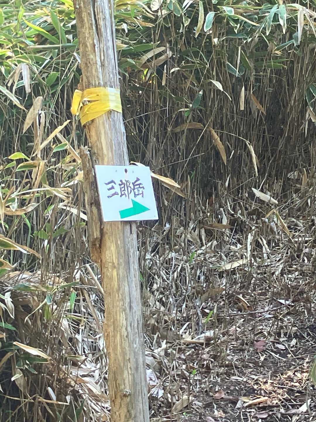 一旦降りて、ここからまた登り再開しました😰