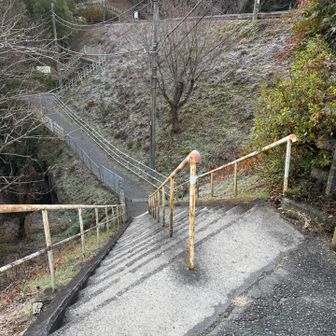 これが有名な斜めの階段、本当降りる時感覚がおかしくなりました。