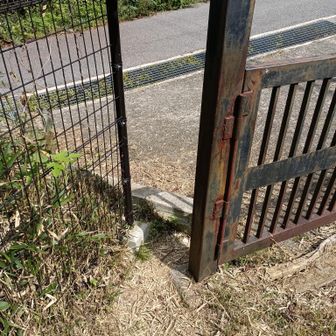 鉄ゲートの横の隙間からも入れるにゃ