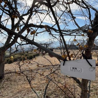 まだまだこれから楽しめますね💕︎