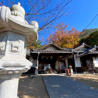 立江寺まで降り、ふたたび登り返す道なれど、すれ違う者は小さき子を連れた親子登山者一組のみ…。
「おお、良き道なのに皆どこへ行ったのやら？」と首をかしげつつ、拙者もまだ三度目の参戦にござる😅