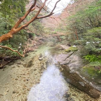 川の水💦が綺麗😊
