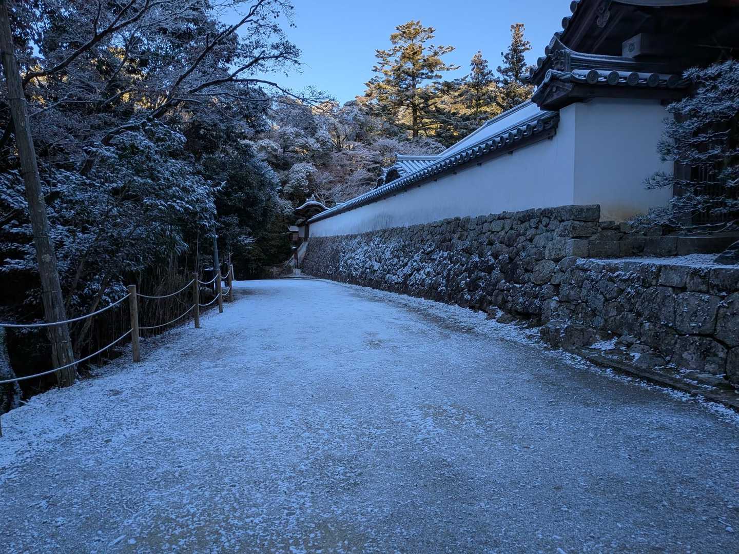 西坂登山口 往復コースの写真