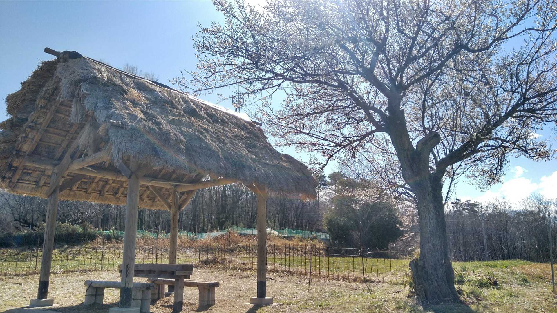 いい感じの場所😊