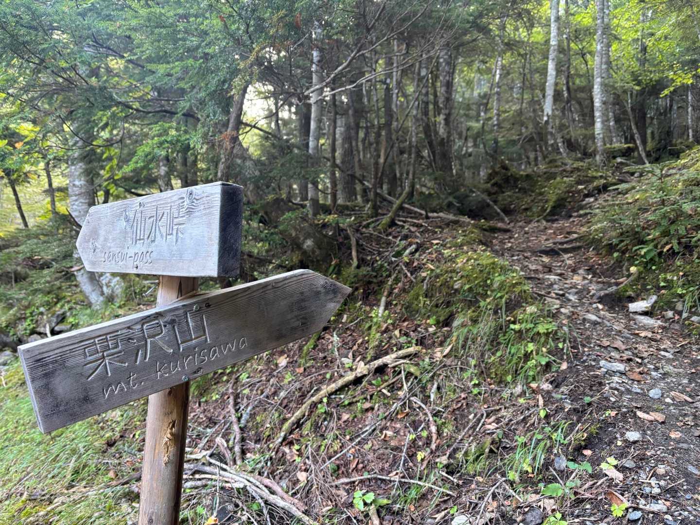長衛小屋のすぐ先にある、甲斐駒との分岐点
栗沢山に向けて登山スタートです

バス停にあんなにたくさん人がいたのに
ここからはほぼ無人で、寂しいくらいです