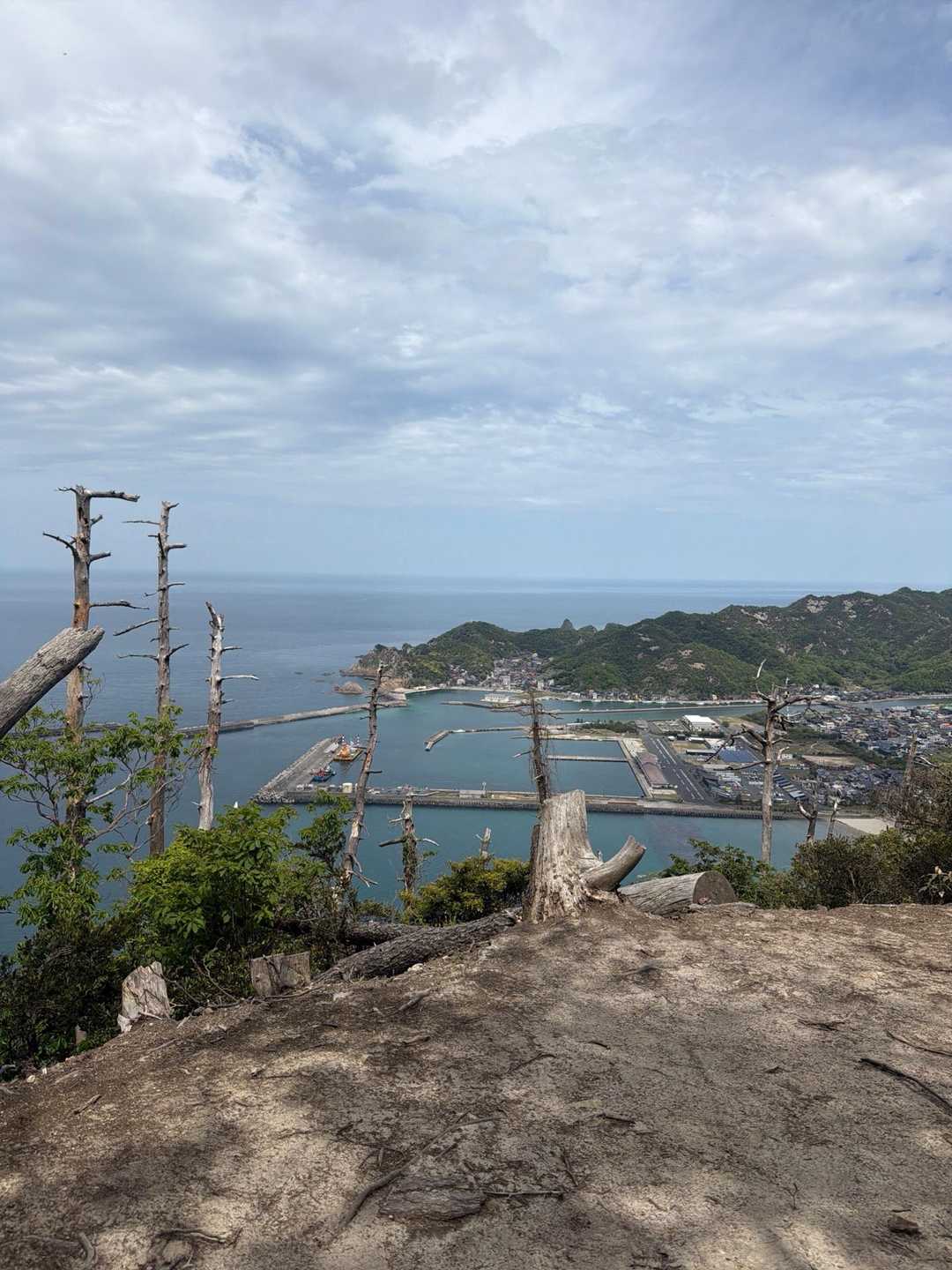 大谷海岸が見えます