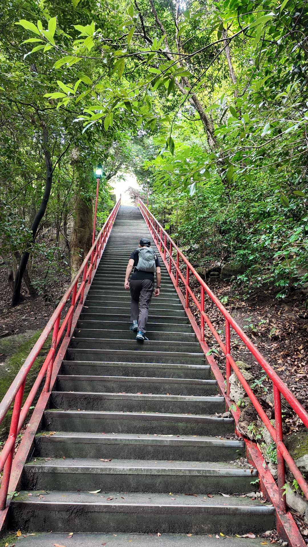 【フラット登山】長大な四国遍路みち、ほんのちょびっと試し歩きの写真