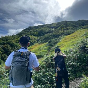 草紅葉始まりました