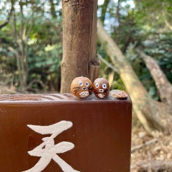 ここにもどんぐりトトロ☺️