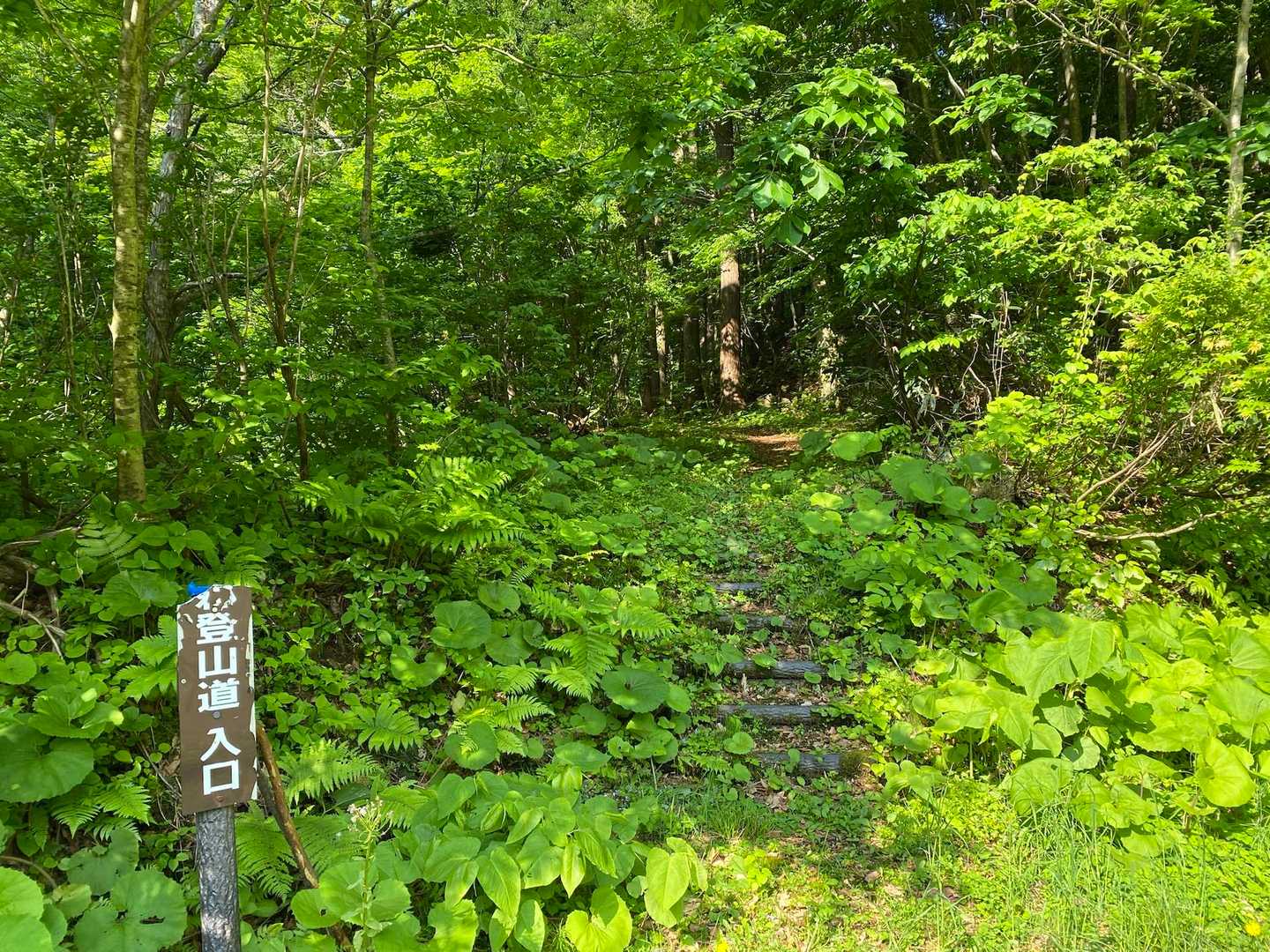 登山口。いざ