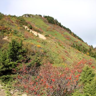 分岐に戻ります