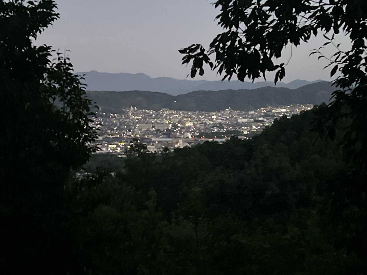 横嶺峠-高塚山 周回コースの写真