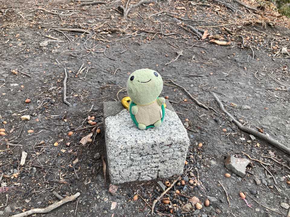 三角点で