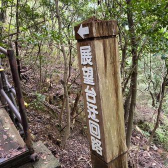 展望台迂回しましょ