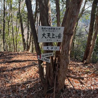 こちらの方が高く、三角点もあります