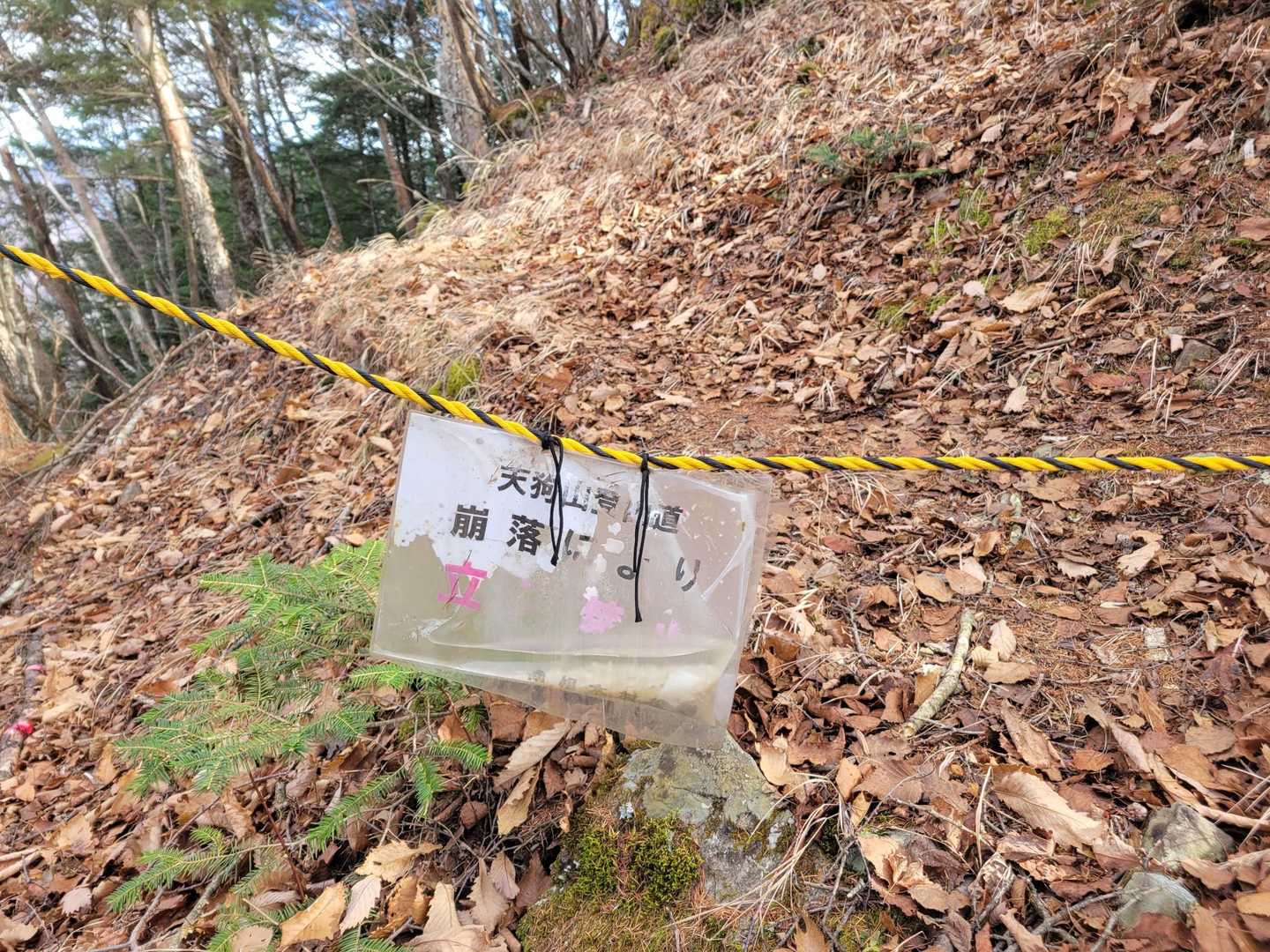 途中何度も道間違える…😅
1回はこの立ち入り禁止に
出てきてしまった
