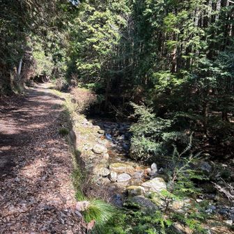 歩きやすい道なので、女子2人はずっとマシンガントーク‼️