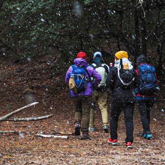 降り始めた雪が綺麗に撮れてるな〜😍