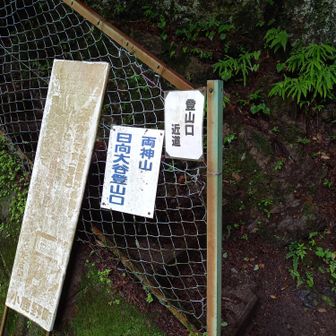 登山口。バス停の向かい側にあります