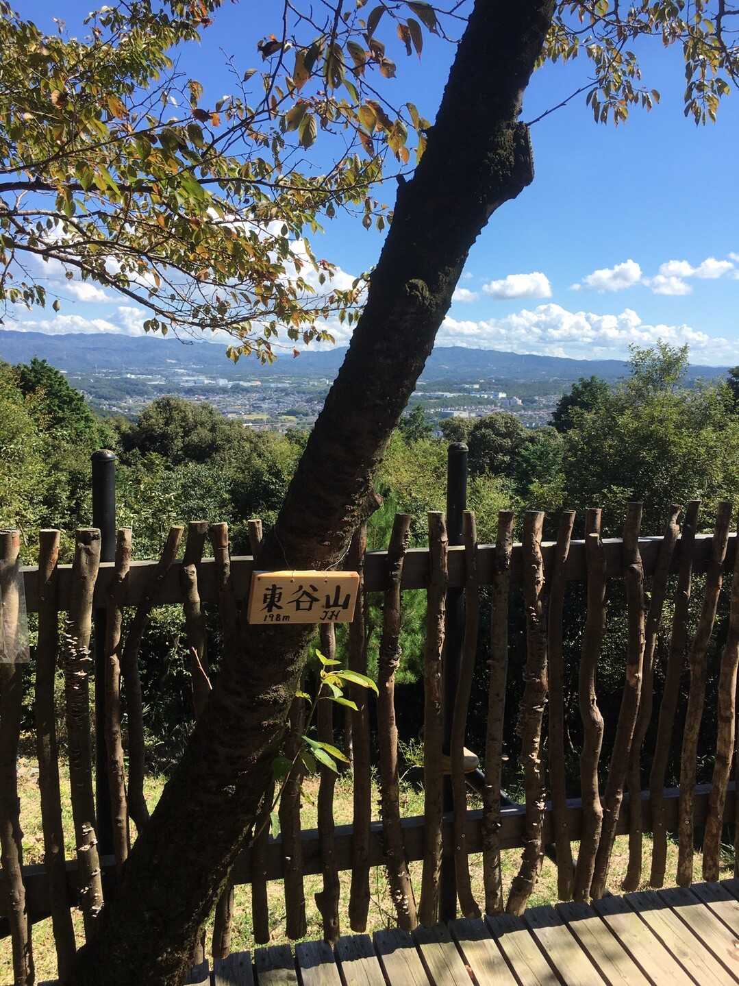 東谷山の写真