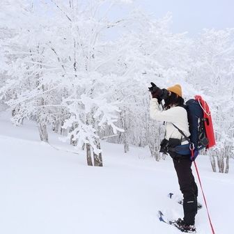 👤とも🐕あずき