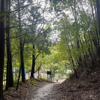 無事に下山しました。
ありがとうございました🙏

様々な錯綜を洗い流してもらえました。
ありがとう朝熊山🤗