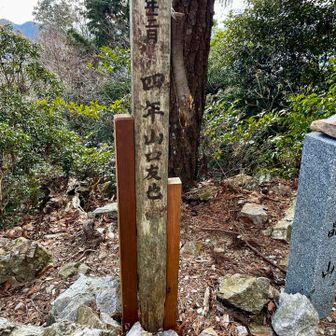 水晶山の標識に「四年　山口友也」の名前を見つけました✨
前半のコースで「五年　山口友也」の標識を見かけ、次の山で「六年　山口友也」の標識を見つけたんです😊「友也君、成長したね」と話をしていたのですが、まさかこちらで四年生の友也君に出会えるとは🤭多分、今は30歳くらいの爽やかな山男になっているハズ（勝手な想像😆）