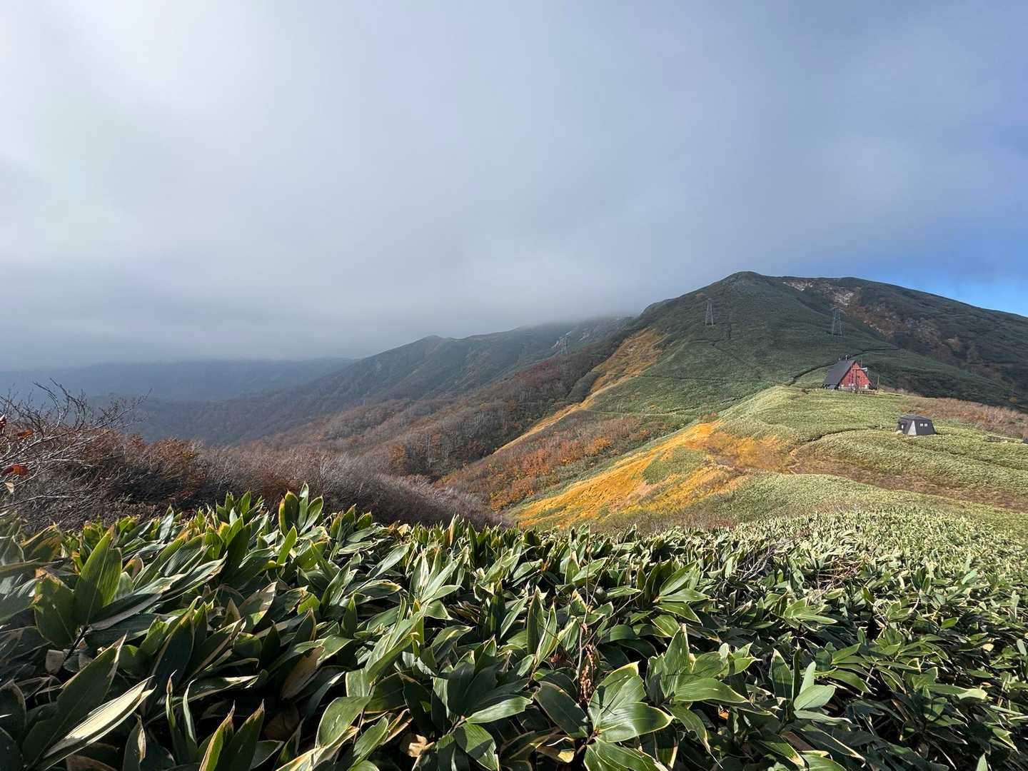 谷川岳方面はガスと言うより完全な雲に覆われてしまいました🌫️
三角屋根の小屋は送電鉄塔巡視員専用小屋で、その下の小さな小屋が清水峠の白崩避難小屋です。
その向こうの斜面の笹藪が刈り込みされていないので、足元も見えない状態でウェアがびしょ濡れになるとのことだったので、避難小屋でレインウェアを着ることにしました。