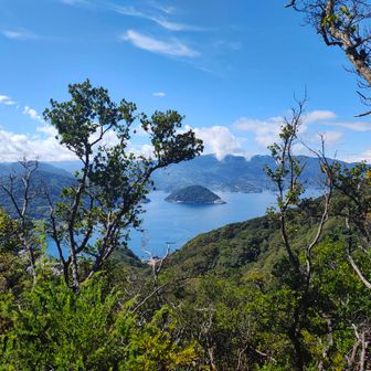 江浦湾
ぽつんと見える島は淡島
ここにはマリンパークがあるようだ
