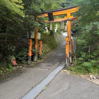 表参道登山口の鳥居⛩️