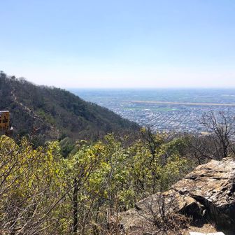 つつじ山　
広々と見渡せて気持ちがいいです。