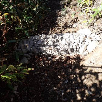 多分、まぼーさんの手による土留め
この登山道は、まぼーさんの善意によって維持されていると言っても過言ではないだろう。