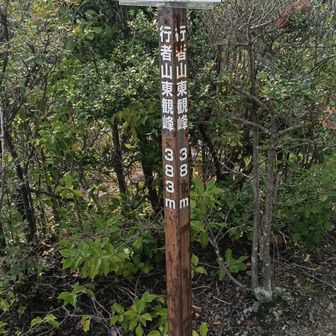行者山東観峰にあるハイキングコース板。