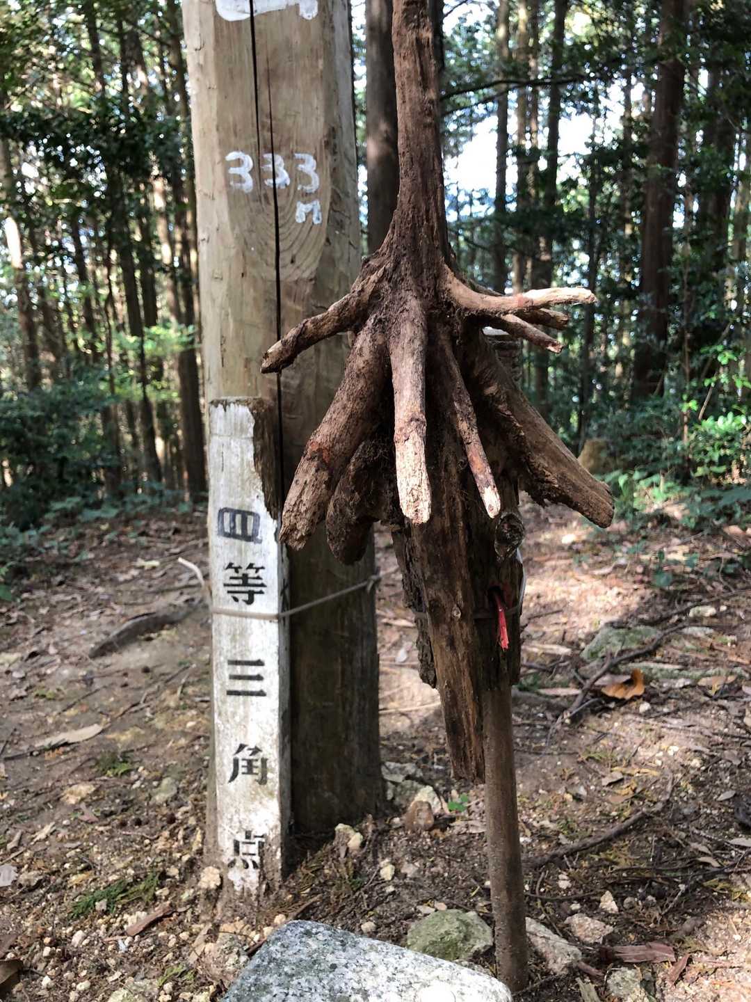 大佐野山 往復コースの写真
