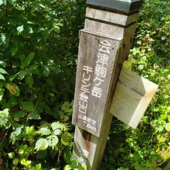 キリンテ登山口着
村営駐車場まで4キロほど国道歩き
景色もいいし苦ではなかった