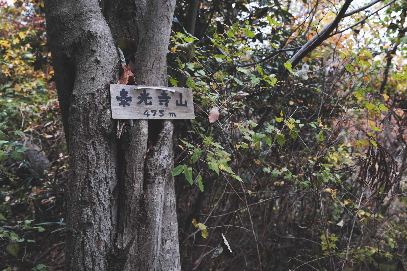 3座目