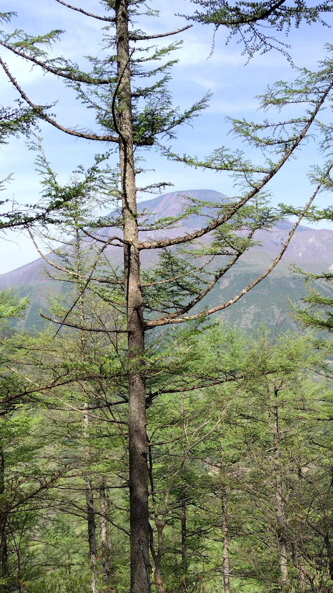 男体山⛰️