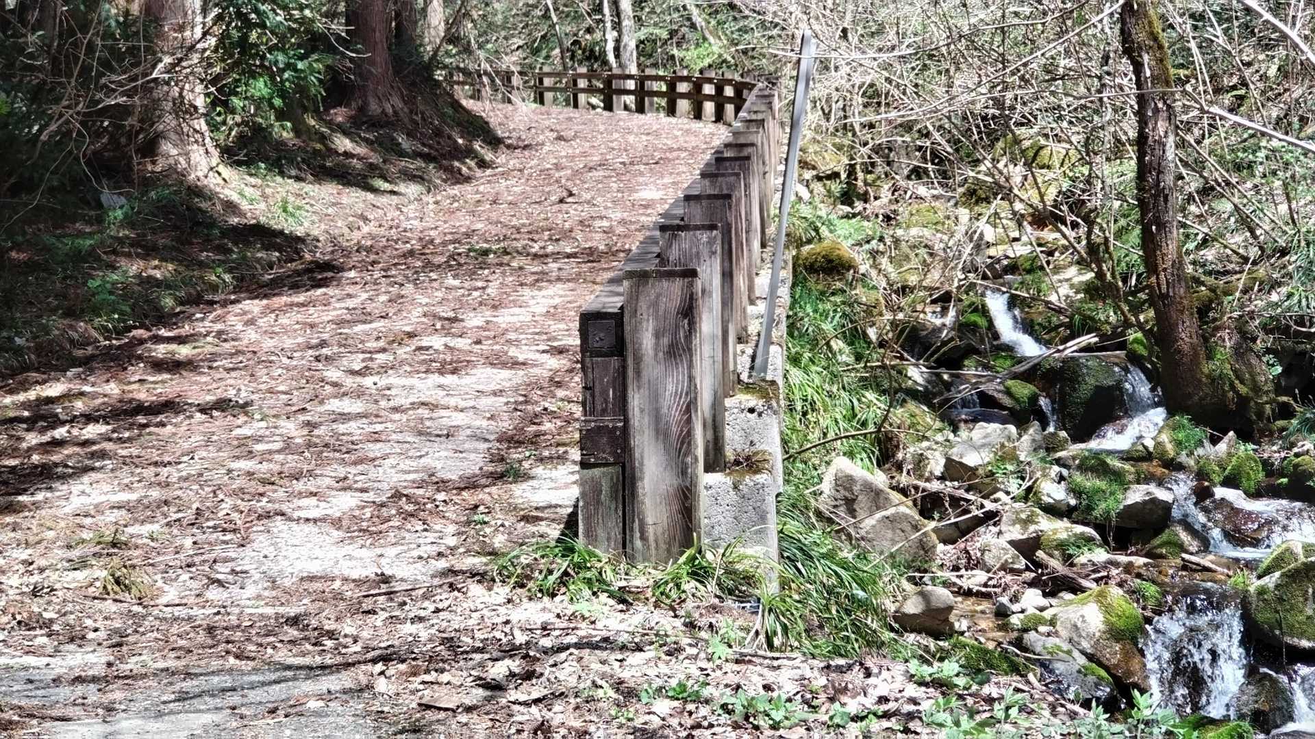 船通山 往復コースの写真