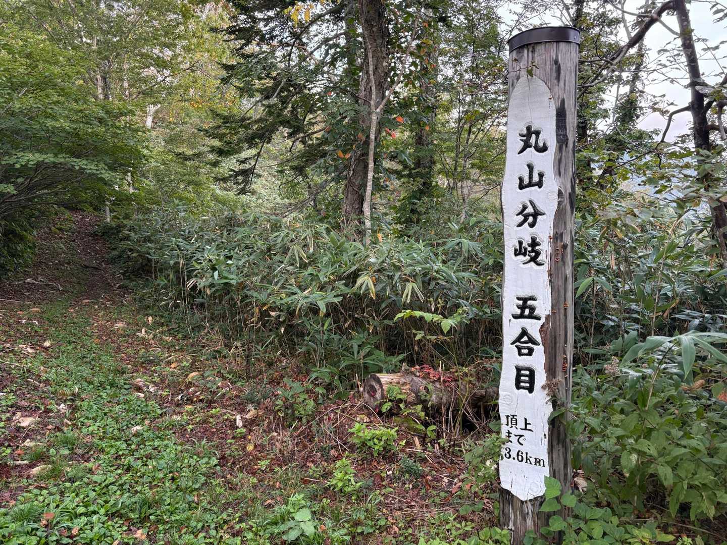 ショートカットみっけ！