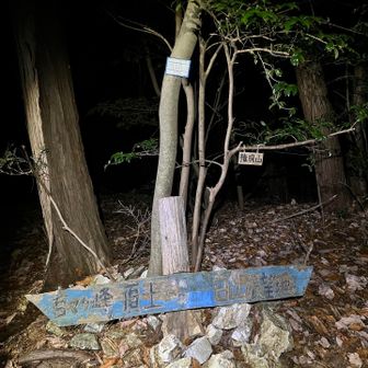 権現山に到着〜🙌🙌🙌　スタートからここまで立ち止まる事なく、登り切れた🥳　dk師匠の見事なペース配分のおかげ🙏