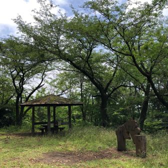 良いねぇ♫