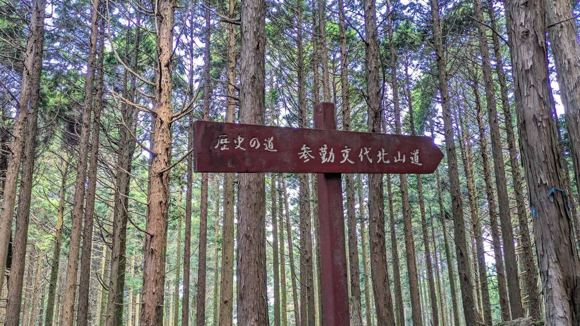 ここの看板で気づきました😂