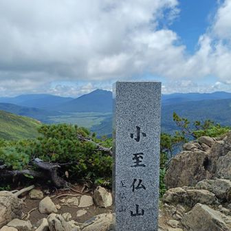 いいところに設置してある