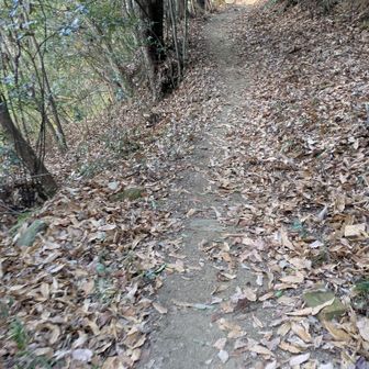 アッツ(^_^;)厚着し過ぎ？