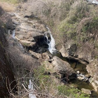 水不足の中でたくさん流れとった〜