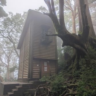 高塚小屋、新高塚小屋周辺とは違い風が通る感じがする。